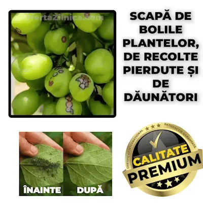 Fungicid pentru Plante - AgroProtect™