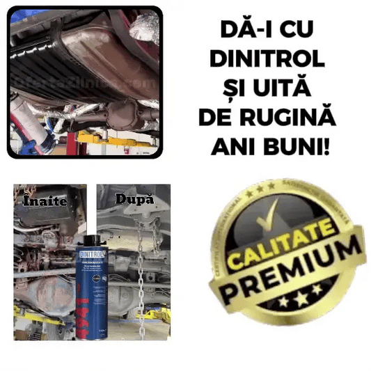 Spray Pentru Rugină DINITROL™