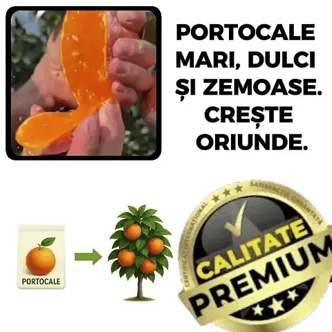 Pom de Portocale BabyOrange™